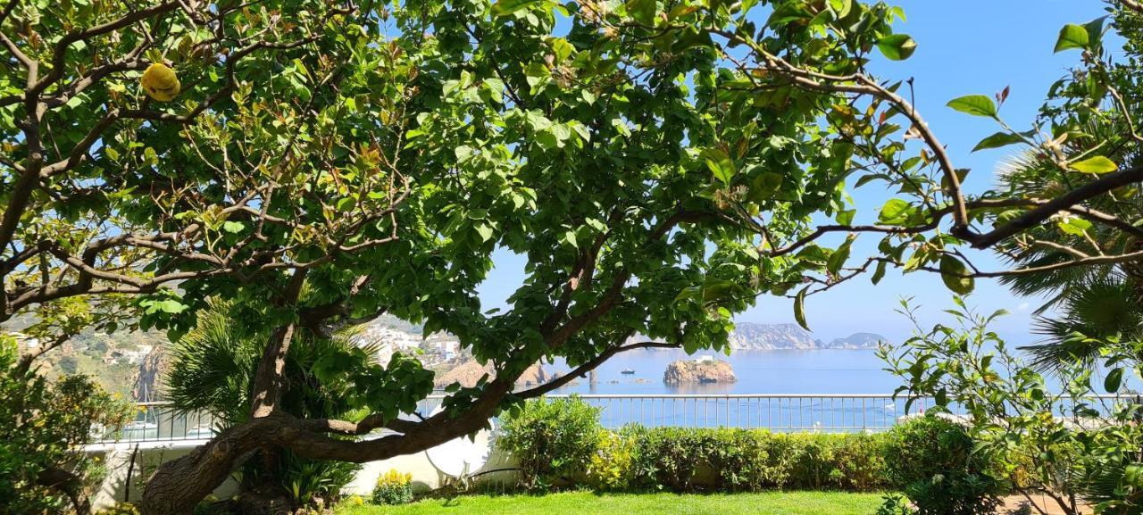 La Limonaia A Mare Hotel Ponza Ngoại thất bức ảnh