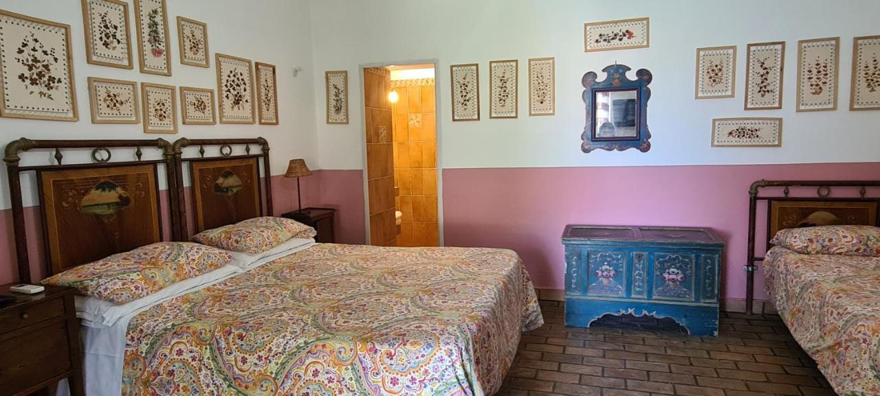 La Limonaia A Mare Hotel Ponza Ngoại thất bức ảnh